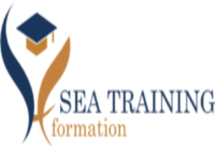 Logo Sea Training