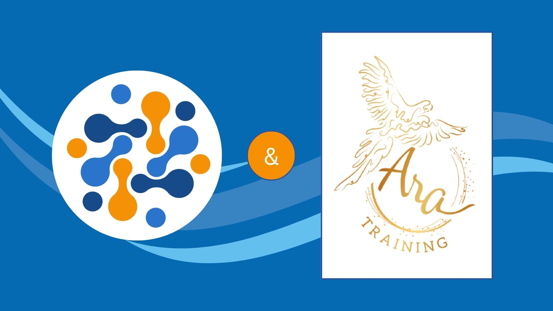 ara training