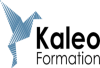 kaleo formation
